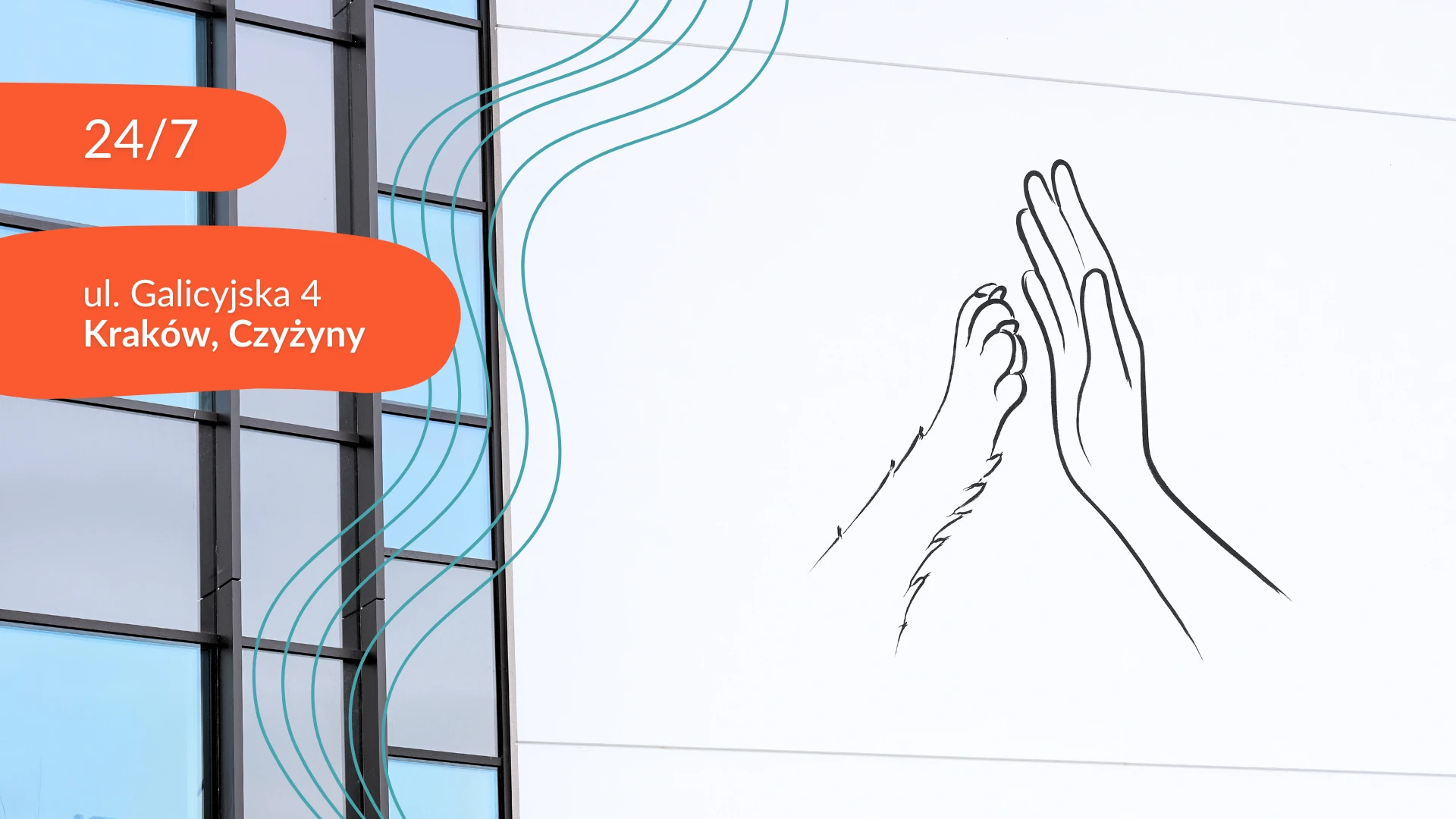 Krakowska Klinika Weterynaryjna