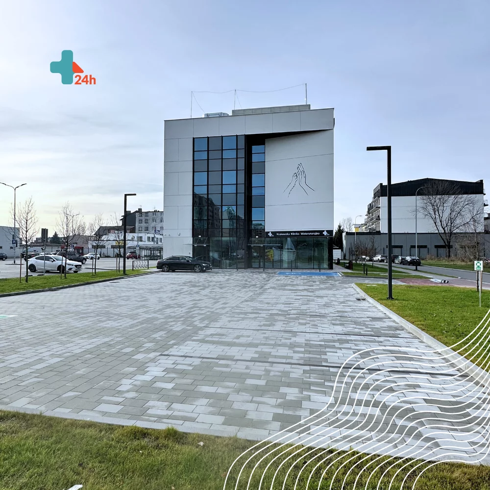 Kontakt | KKW -&nbsp;Krakowska Klinika Weterynaryjna